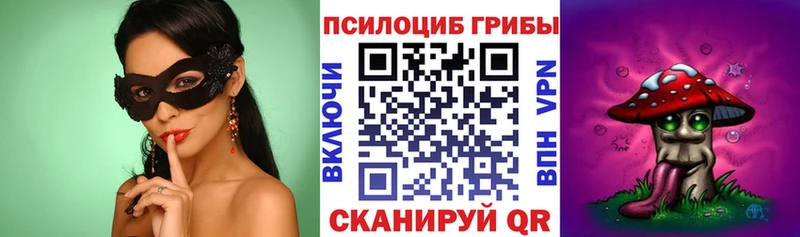 Псилоцибиновые грибы мицелий  продажа наркотиков  Лыткарино 